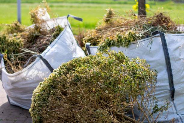 Best Estate Cleanout Services  in Clay City, IN