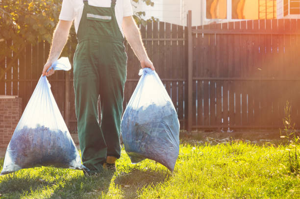 Best Basement Cleanout Services  in Clay City, IN